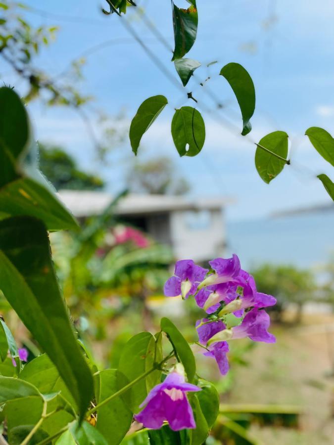 Coibahouse Hotel Santa Catalina Ngoại thất bức ảnh