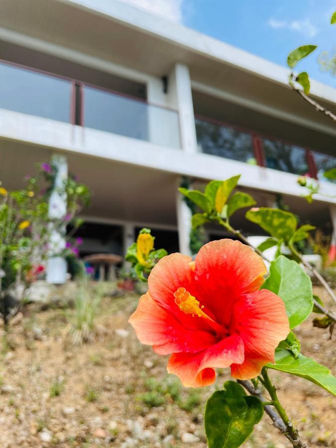 Coibahouse Hotel Santa Catalina Ngoại thất bức ảnh